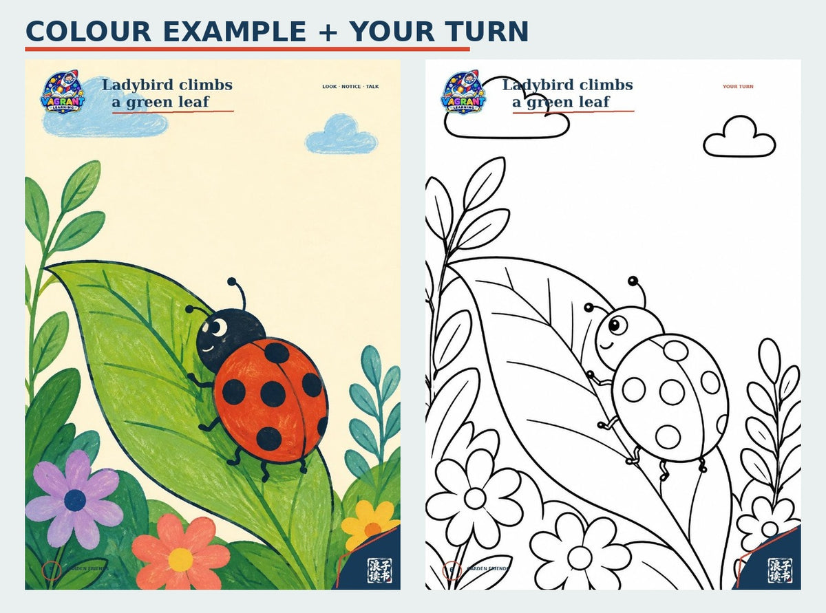 Garden Friends second colour example and matching colouring page preview