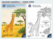 Safari Friends colour example and matching colouring page preview