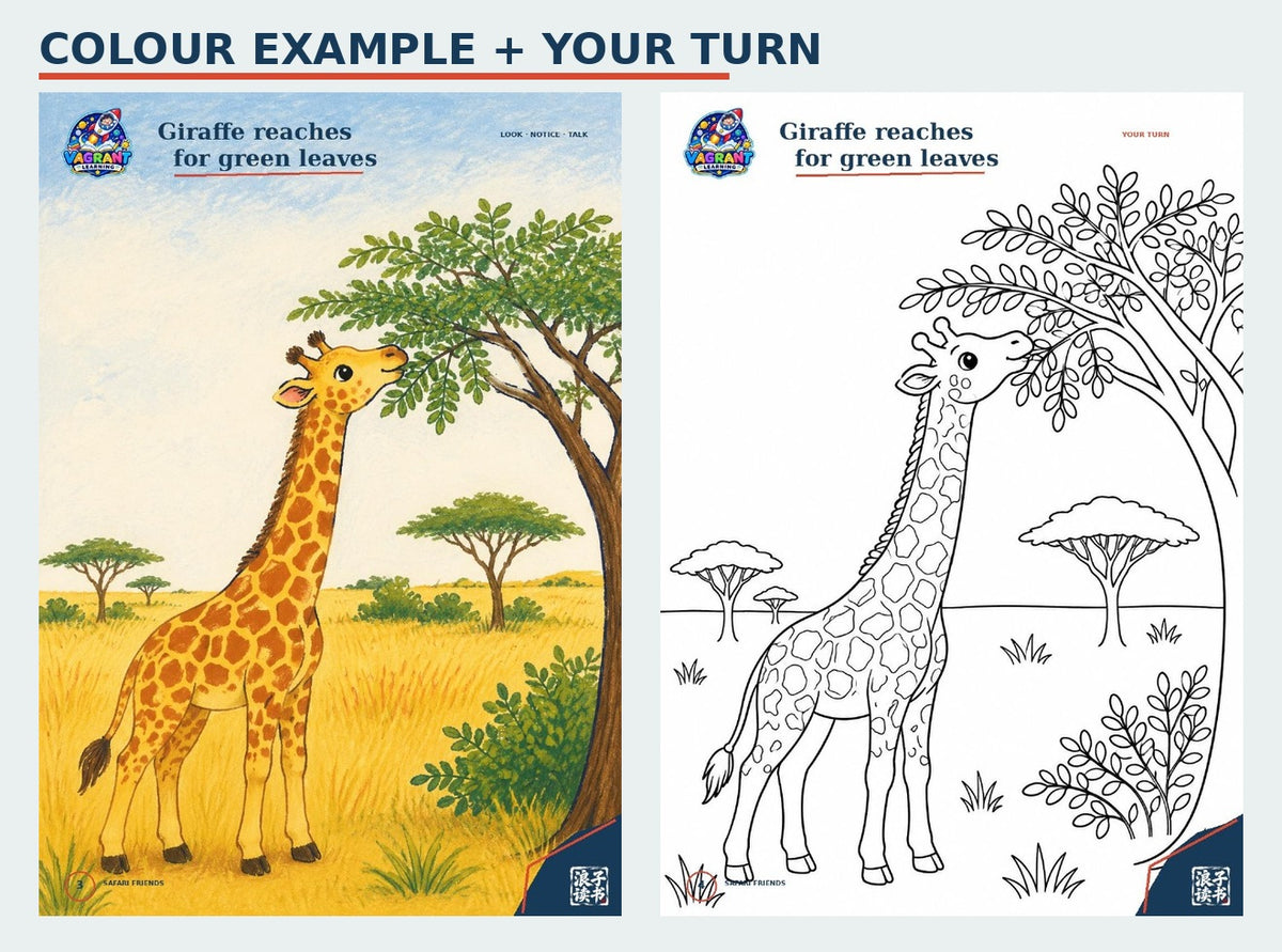 Safari Friends colour example and matching colouring page preview